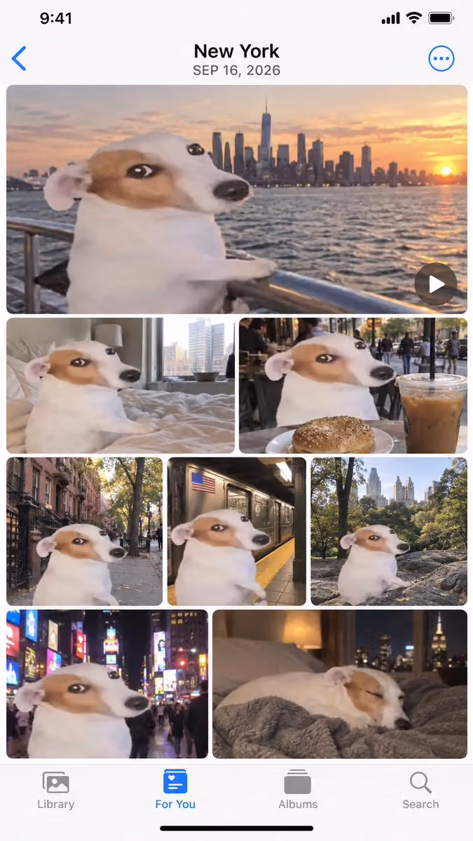 Apple Photos App Mockup - NYC Dog Trip