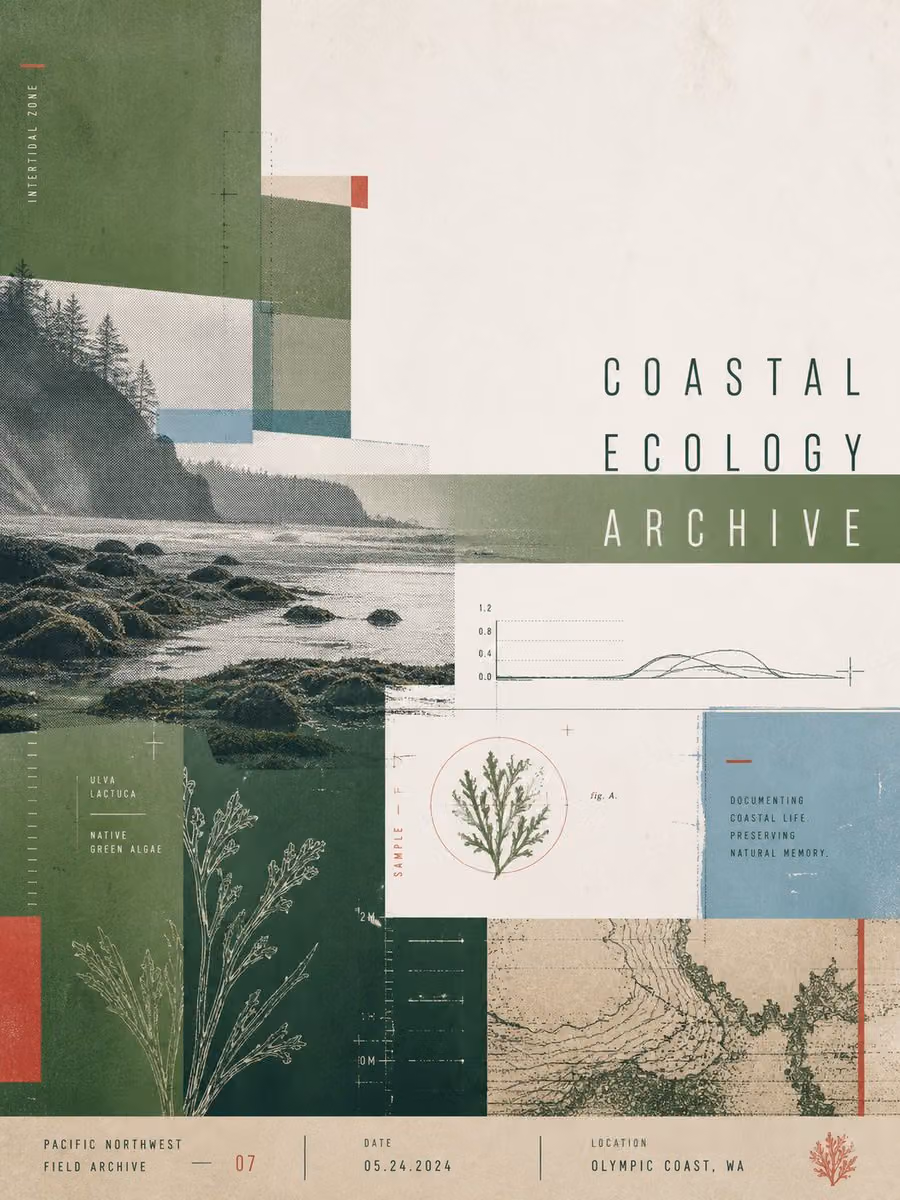 Infographic / Edu Visual - Coastal Ecology Archive Poster
