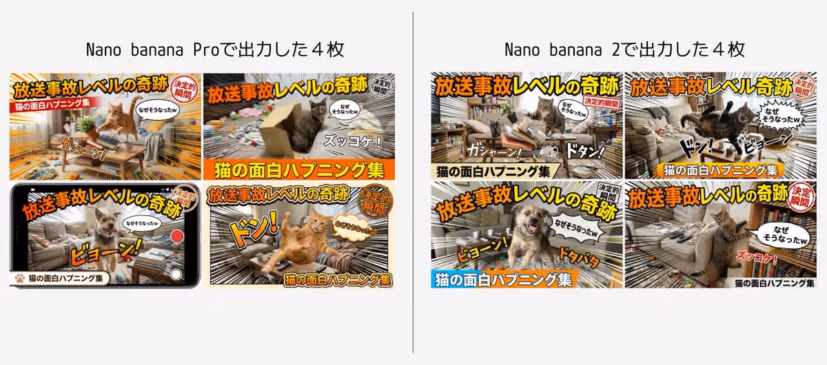 Miracle at Broadcast Accident Level: Funny Cat Mishap Collection